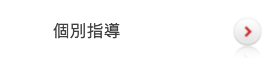 個別指導